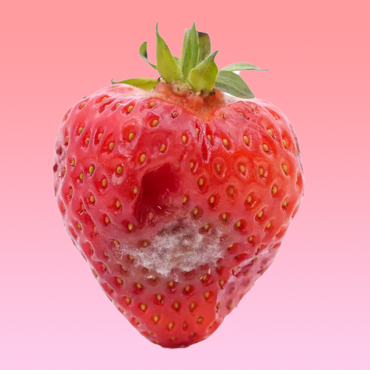 Lily before dermatica anti-ageing treatment
